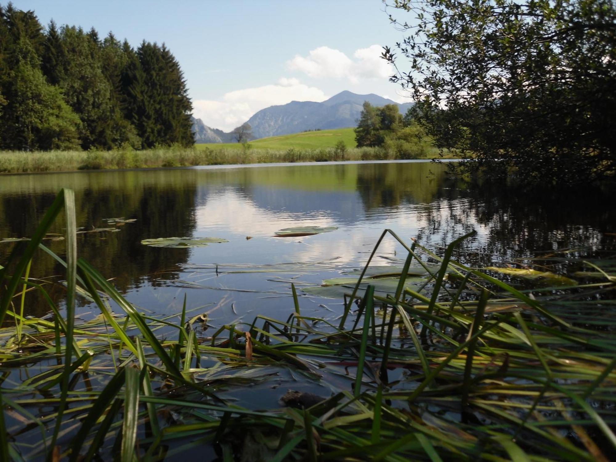 Ferienhof Margarethengut Unterach am Attersee Esterno foto