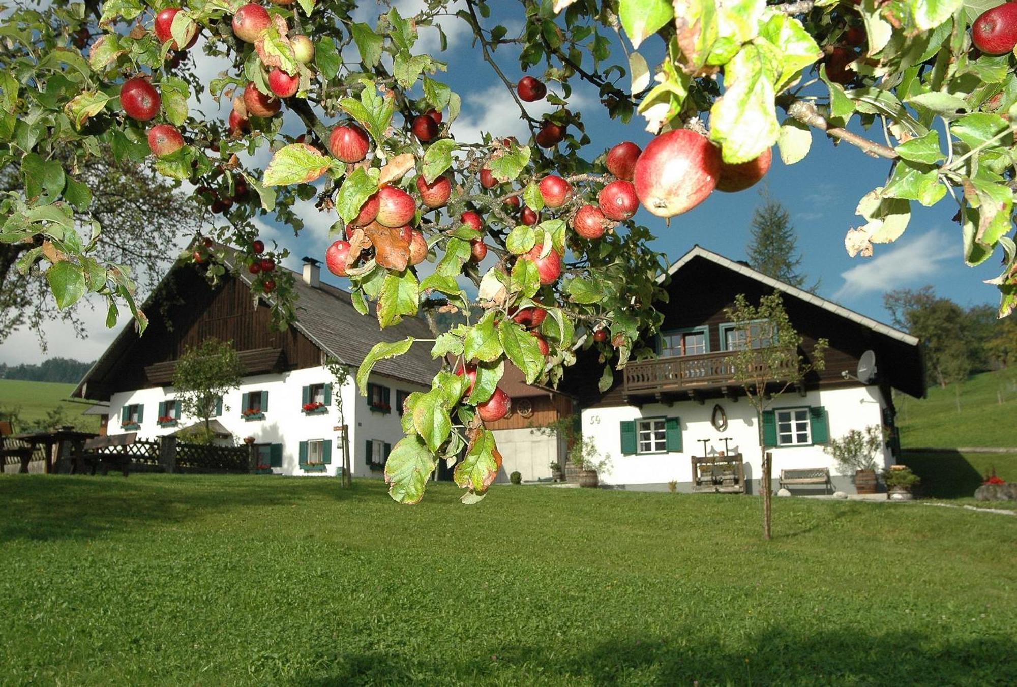 Ferienhof Margarethengut Unterach am Attersee Esterno foto