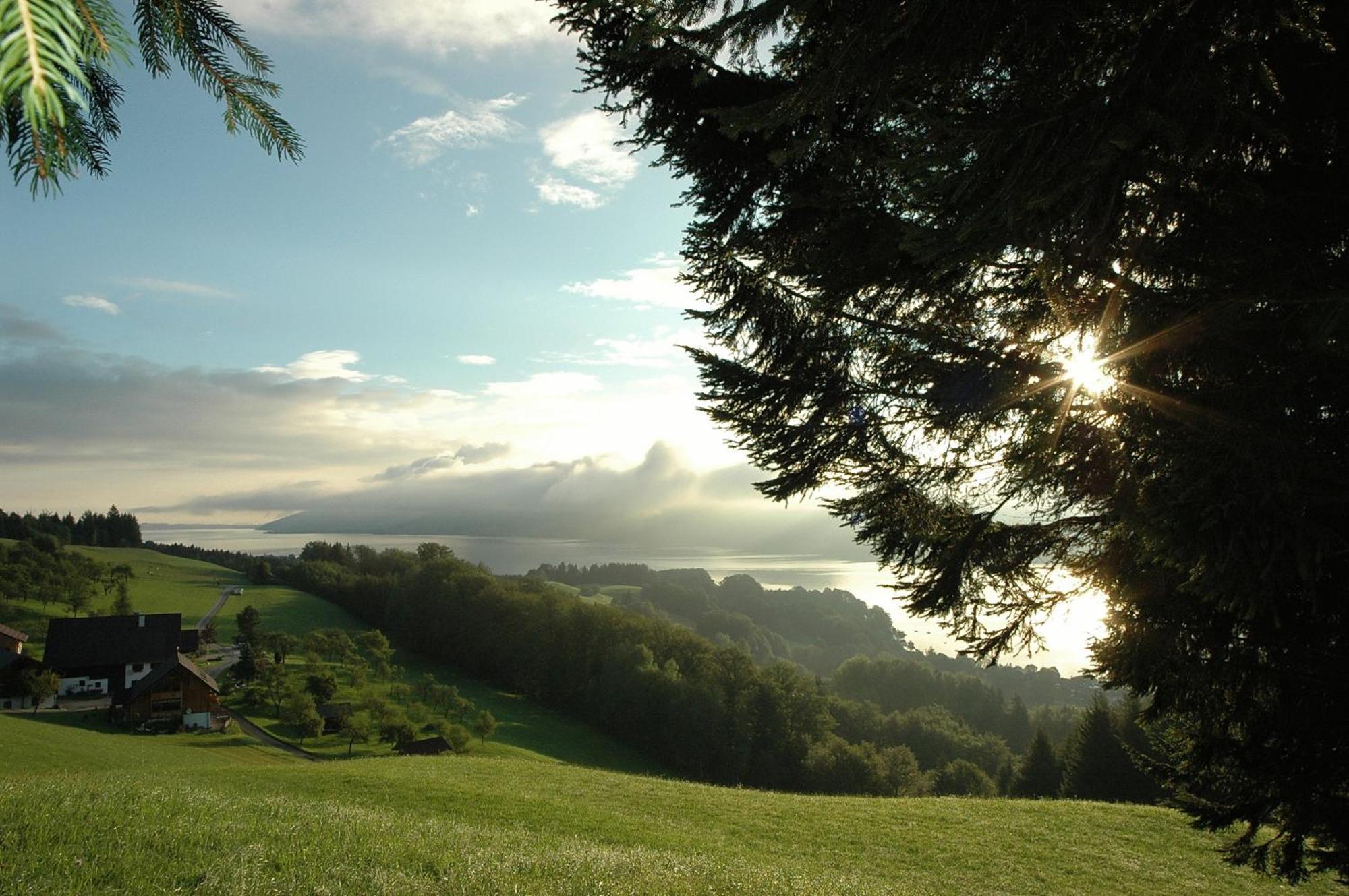 Ferienhof Margarethengut Unterach am Attersee Esterno foto