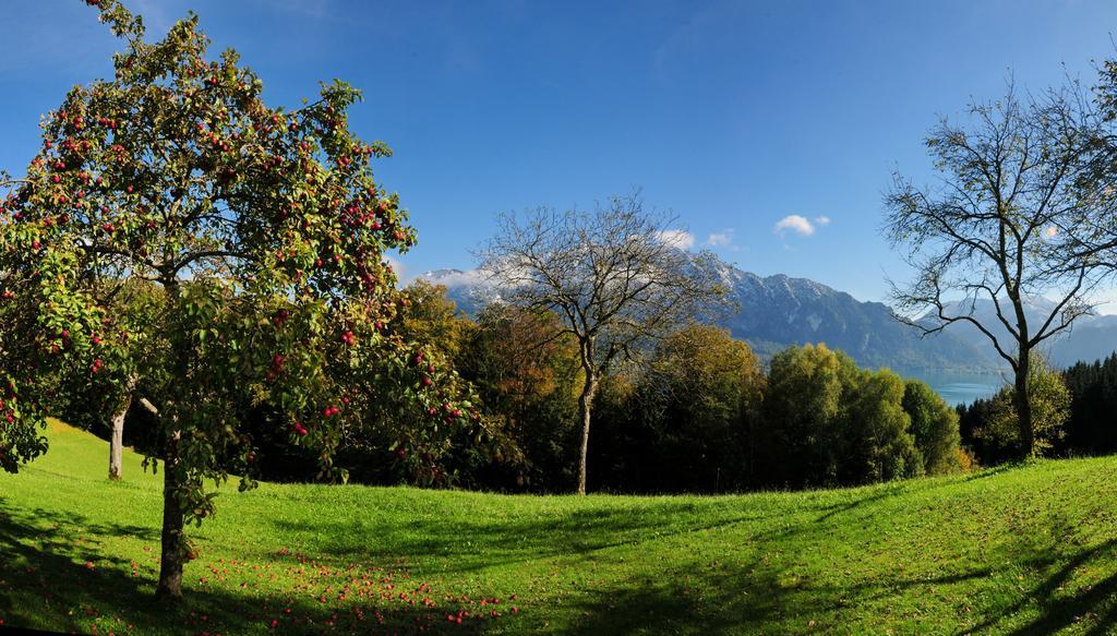Ferienhof Margarethengut Unterach am Attersee Esterno foto