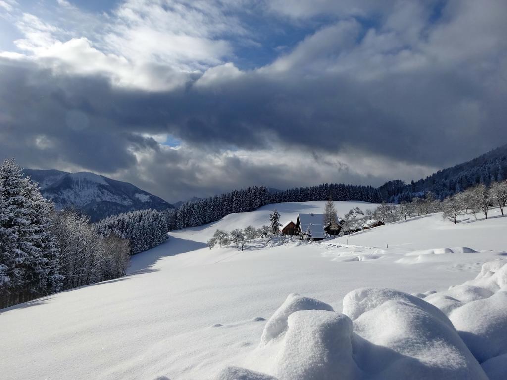 Ferienhof Margarethengut Unterach am Attersee Esterno foto