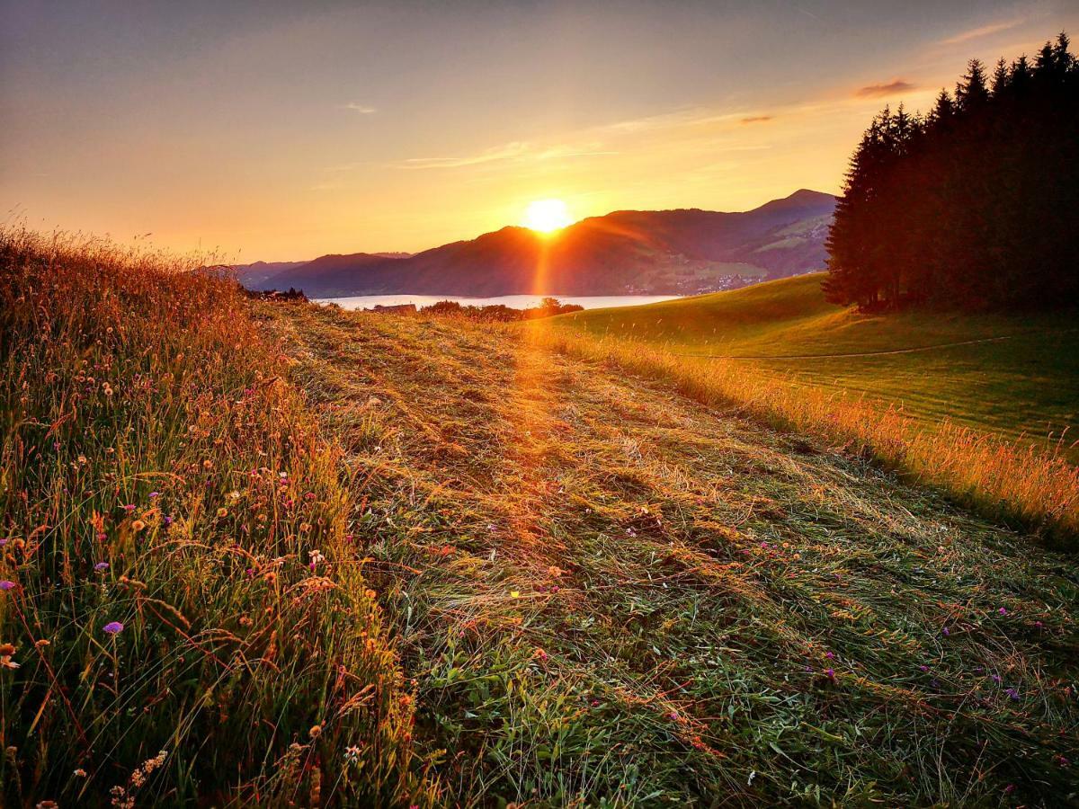 Ferienhof Margarethengut Unterach am Attersee Esterno foto